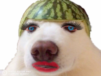 BurnedPotatoe