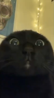 K1LL3RHUR7Z