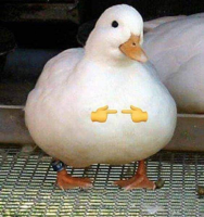 aobutt