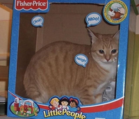 loserbear