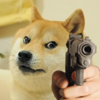 DogeMLG420