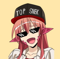 TopSnek