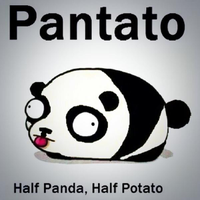 Pandato