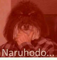 NARUHODO