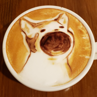 boo3214