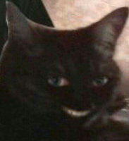 I made this account