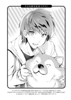 ShogunTanuki