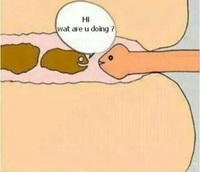 I_Dont_Do_Anal