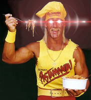 H U L K H O G A N