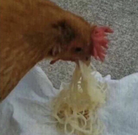 Nut Annihilator