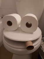 YoshiLuigi