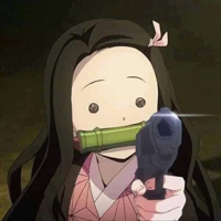 AIMED55