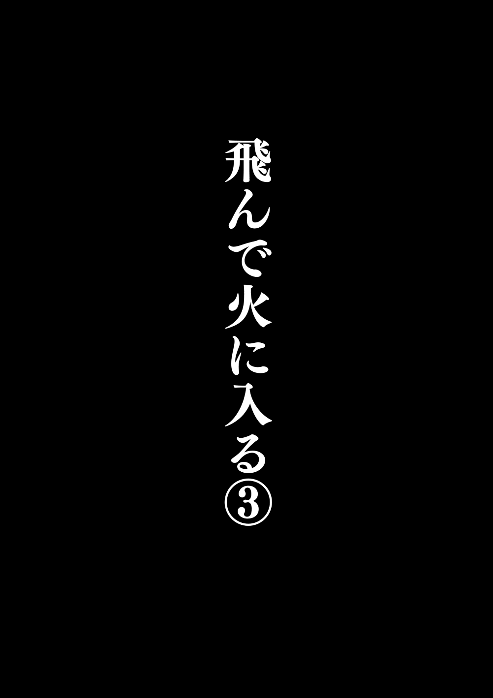 Tonde Hi ni Hairu 3 - Page 3
