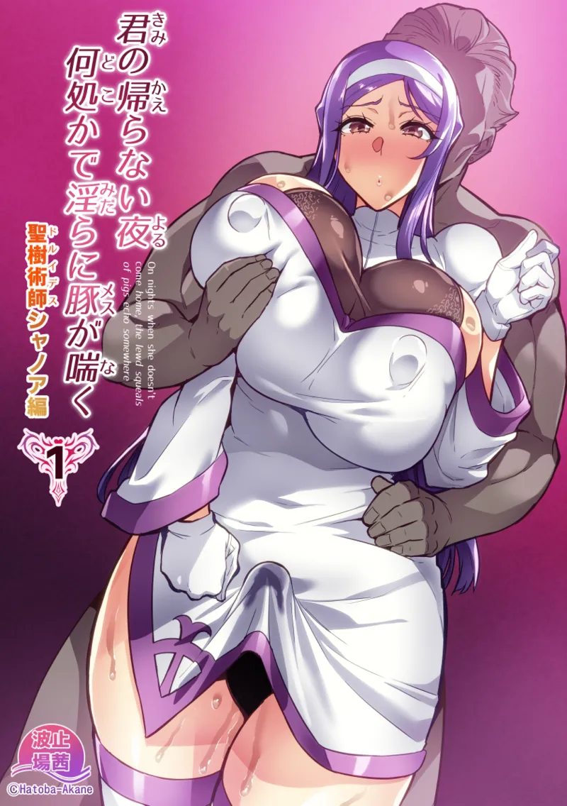 Kimi ga Kaeranai Yoru Dokoka de Midara ni Buta ga Aeku - 页 1