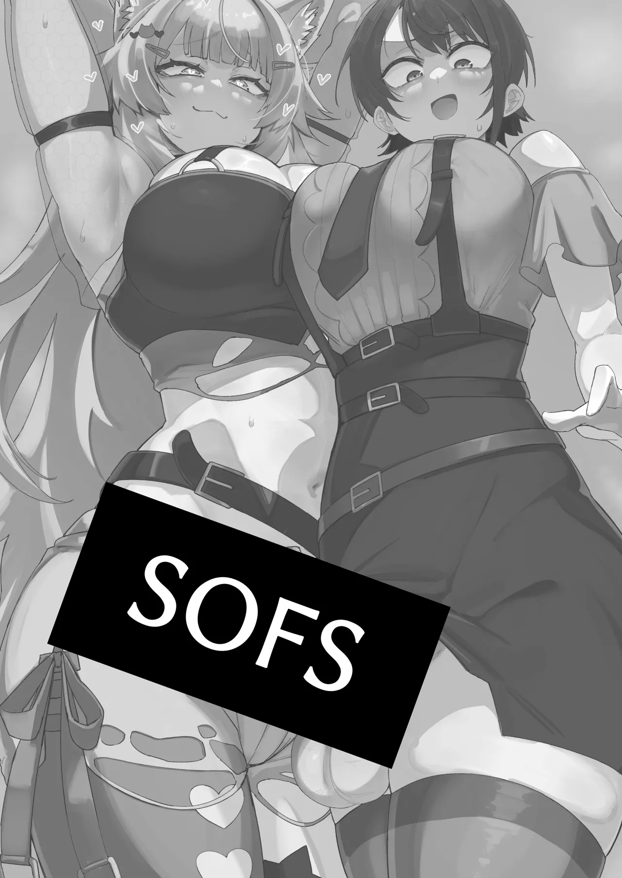 SOFS - Seite 3