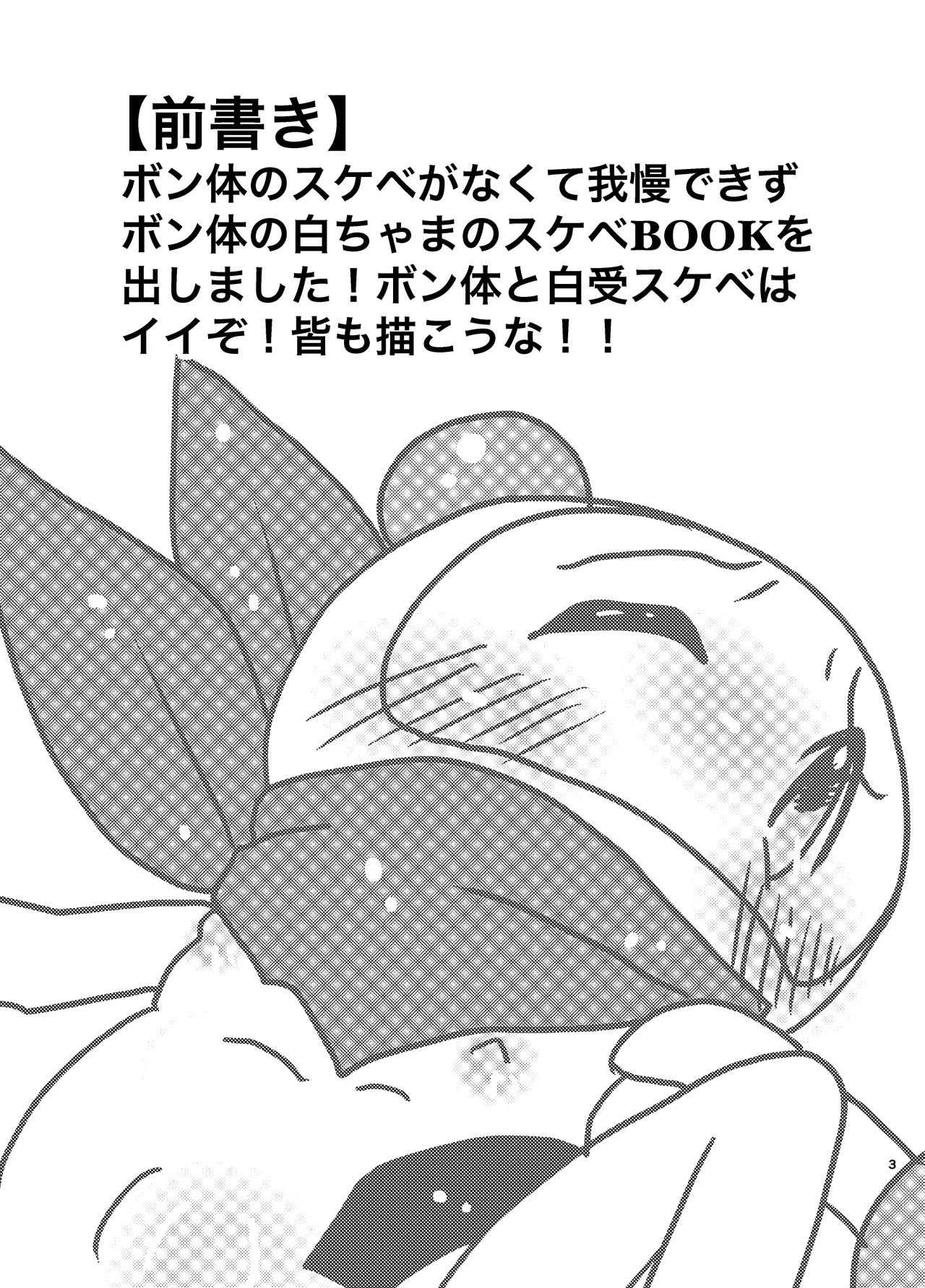 Ecchi na Bomtai ga Mitai! - Page 3