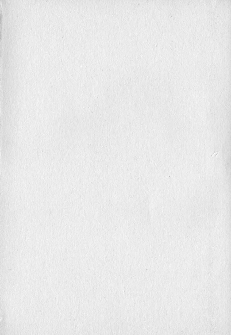 Revolution. No.12 Vol. 2 - Page 4
