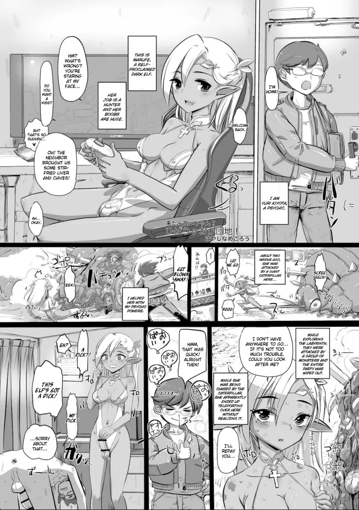 Hibarigaoka Housing Complex! - Seite 1