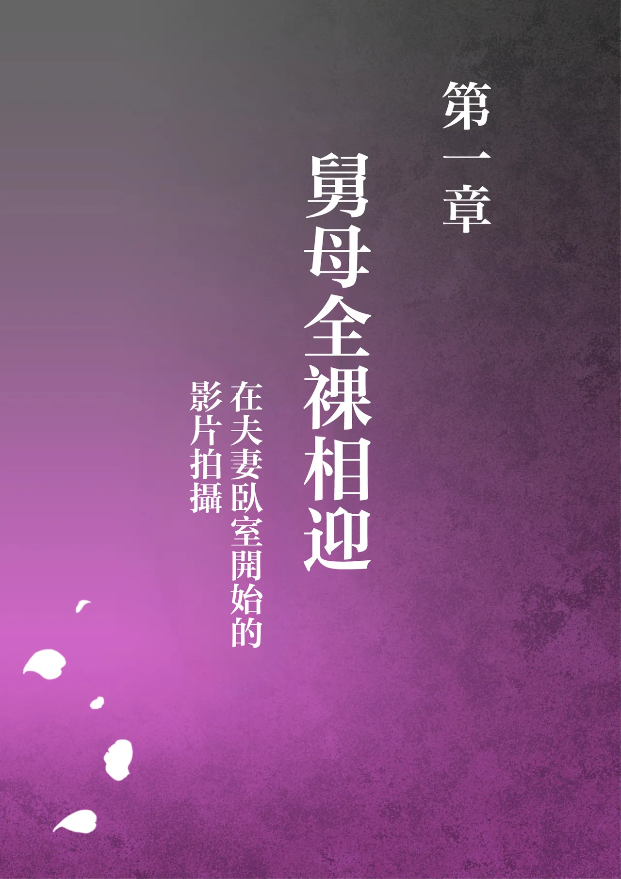 oba manami huuhu no sinsitu de douzinnAV satuei sa reru akogare no oba wo netoru3 - Page 3
