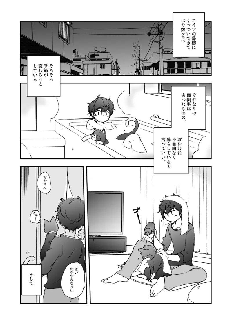 私の彼はハチワレソックス - Page 4