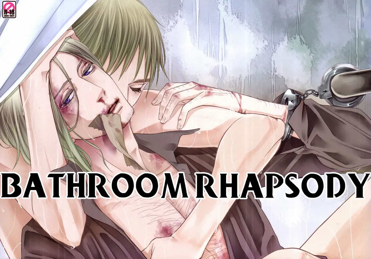 Bathroom Rhapsody - 页 2