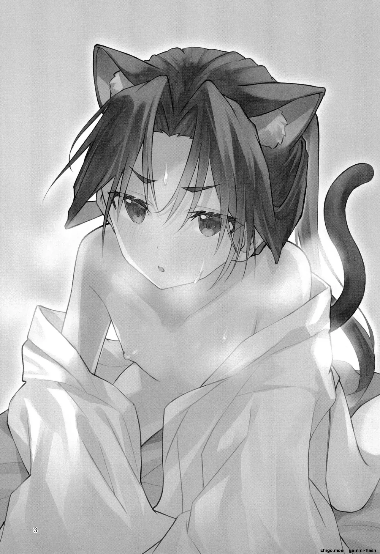 Neko no Himegoto - Page 3
