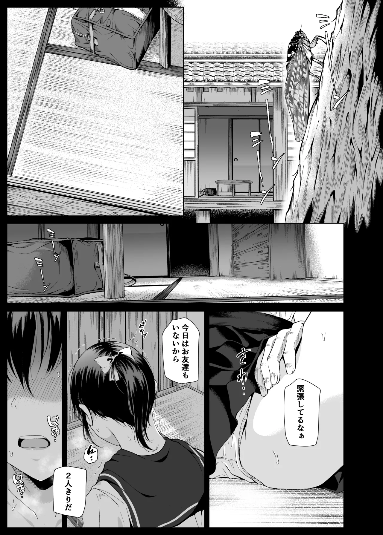 Natsu, Inaka de Oji-san to ~Satogaeri~ - 页 2