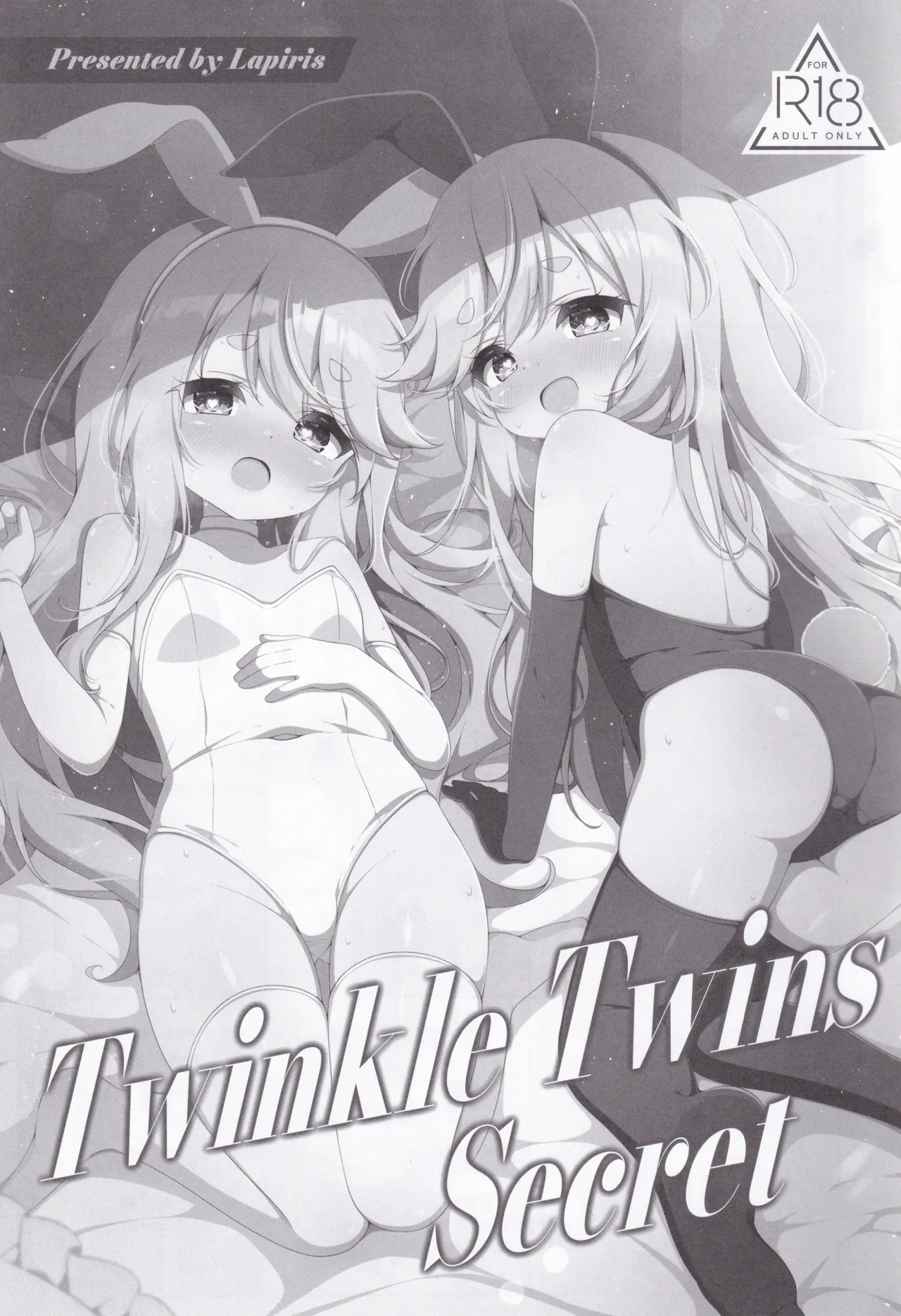 Twinkle Twins Secret - 页 2