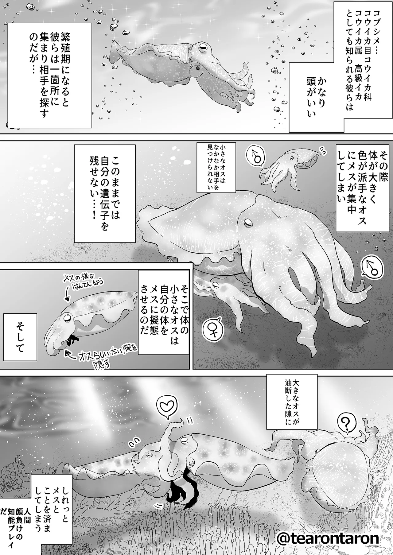 Gakkou de Ichiban Jimina Futari ga Tsukiatte kara no Hanashi 4 - Страница 4