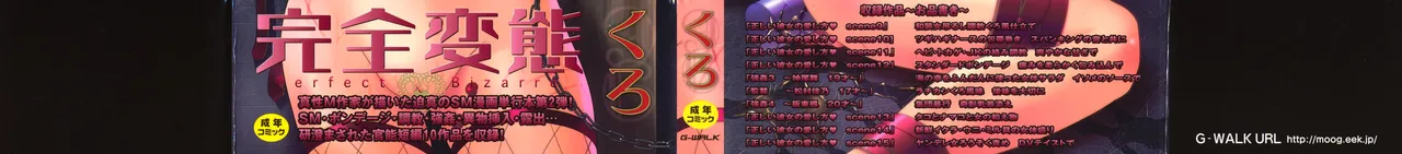 Tadashii Kanojo no Aishikata Perfect Bizarre - Pagina 3