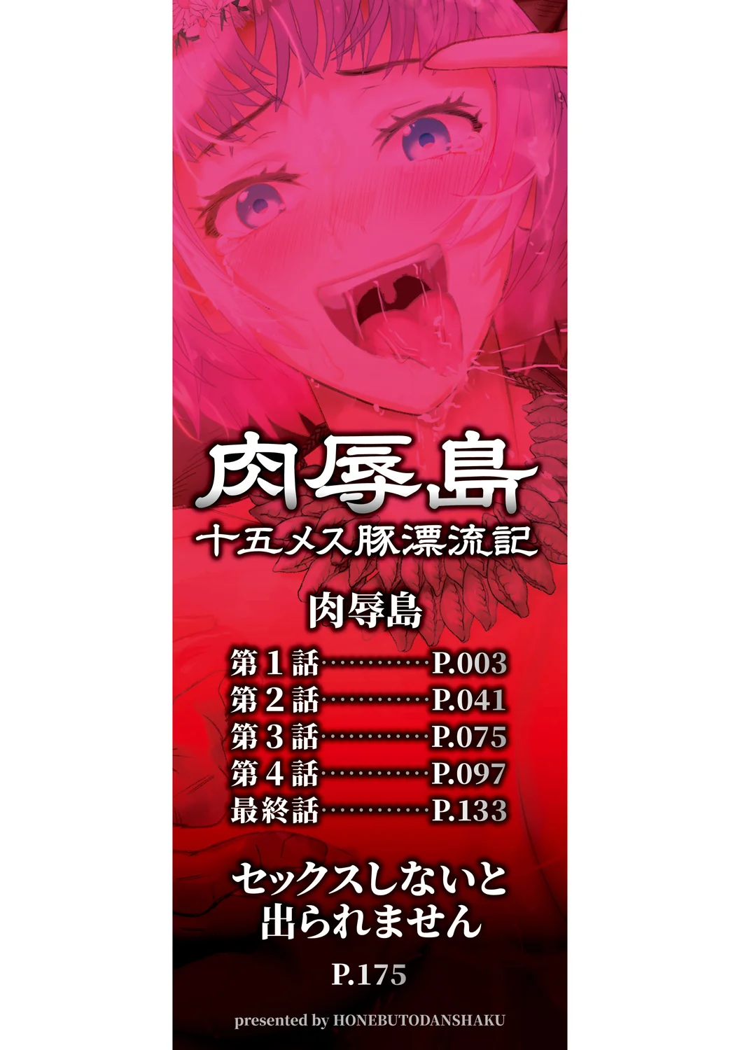 Nikujokujima Juugo Mesubuta Hyouryuuki - 15 MESUBUTA SLAVES FOR KING - Сторінка 2