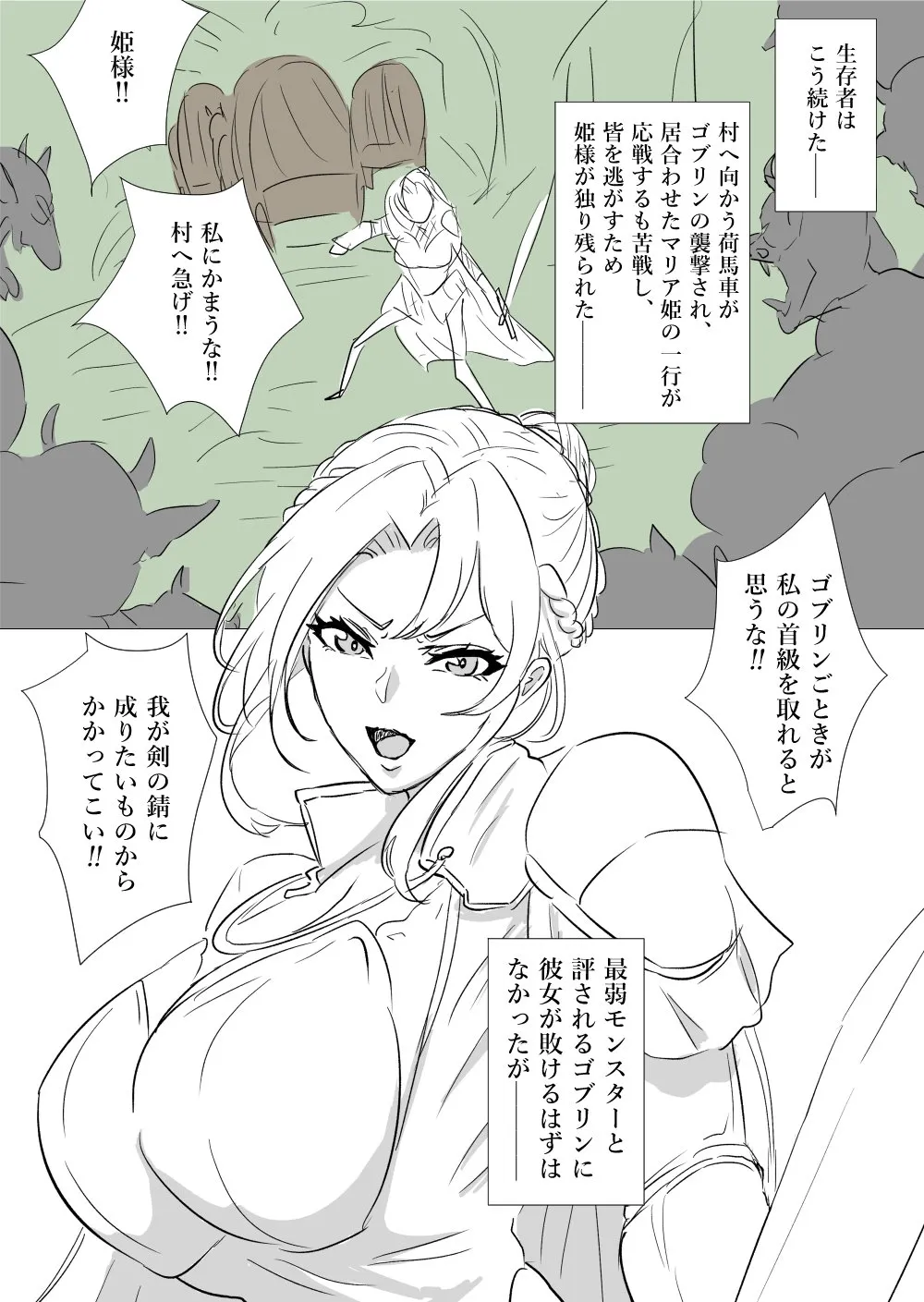 姫騎士vsゴブリン - Страница 2