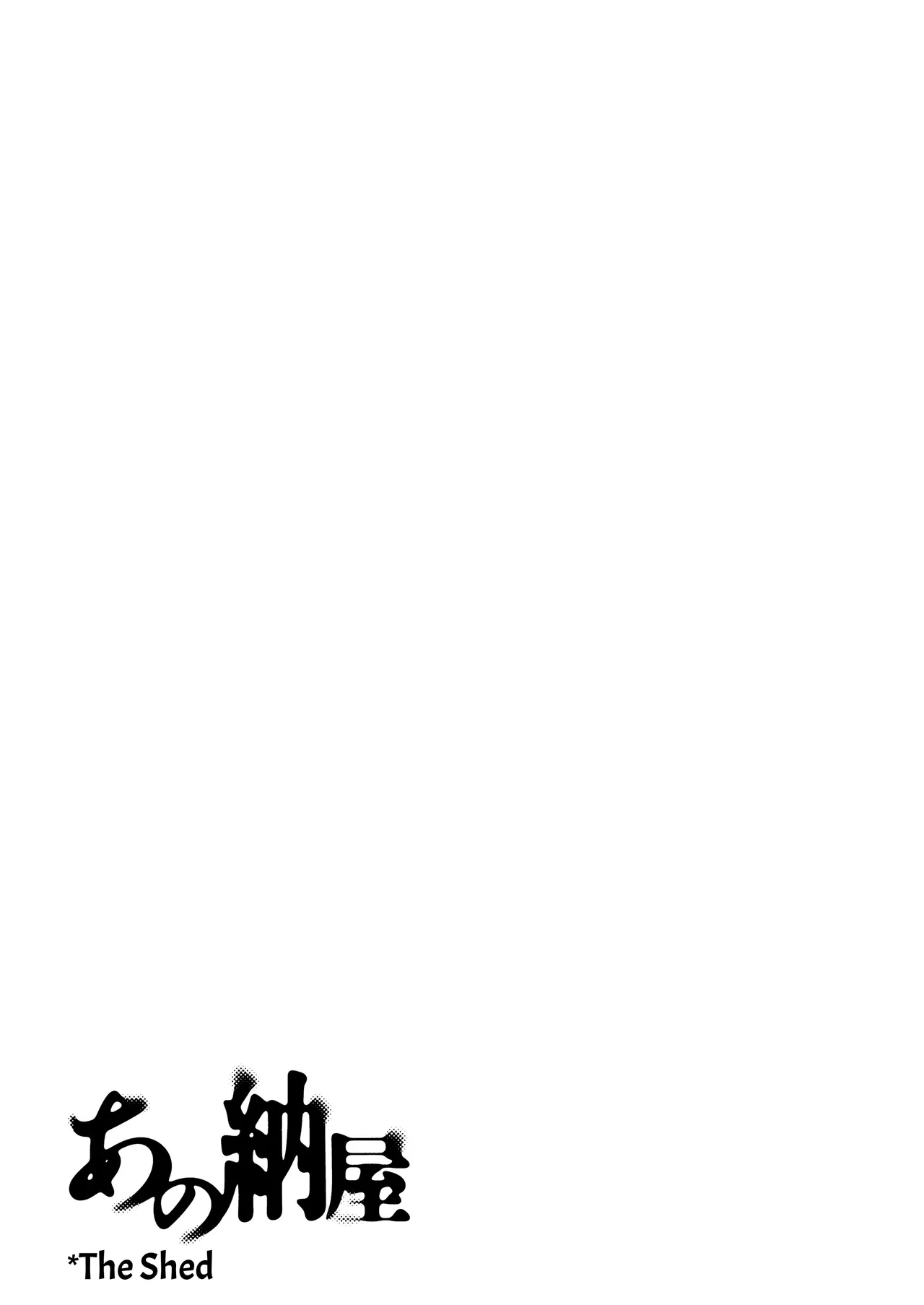 Ano Naya ~Boku ga Mita Koto Nai Oba-san no Yoru no Sugata~ | That Shed~ The Side of My Aunt I'd Never Seen at Night - Page 3