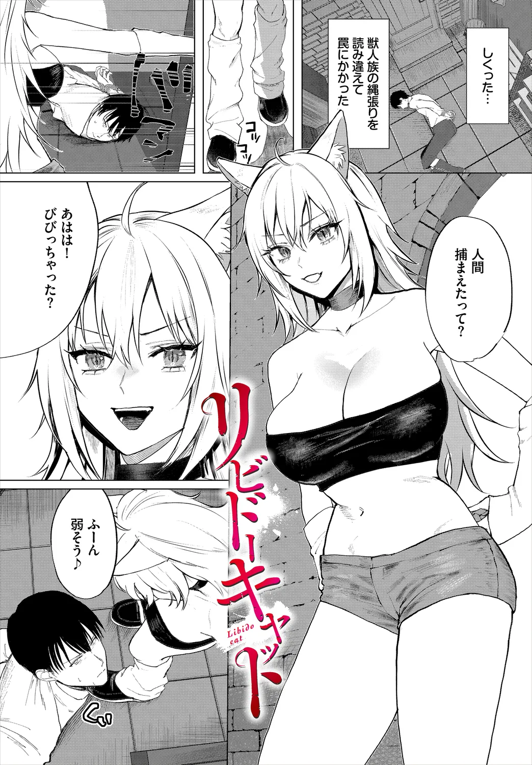Daotometachi no Grimoire   - Grimoire of fallen maidens - หน้า 3