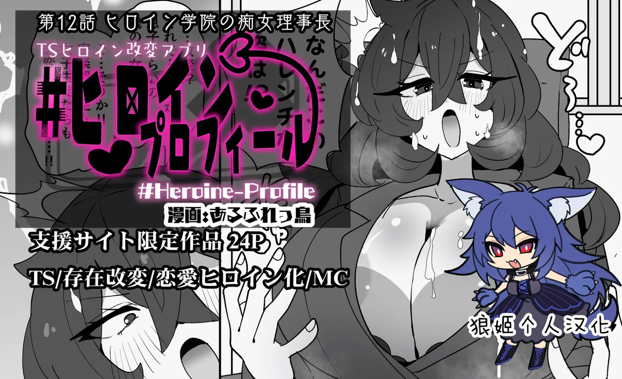 Heroine Profile⑫ - Page 1