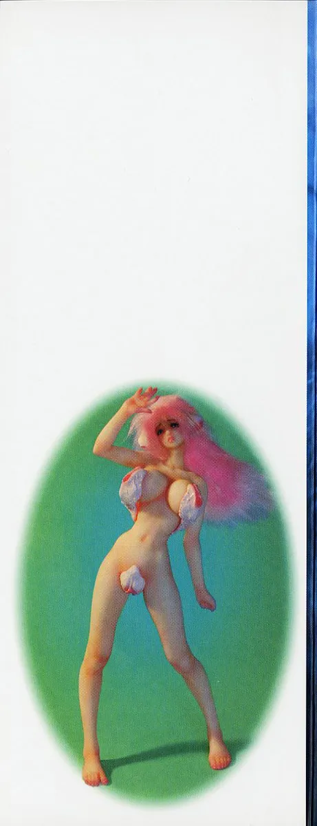 Seijuu Shoujo Sen Vaginass Kanzenban - Sexbeast Fight Vaginass - Seite 2