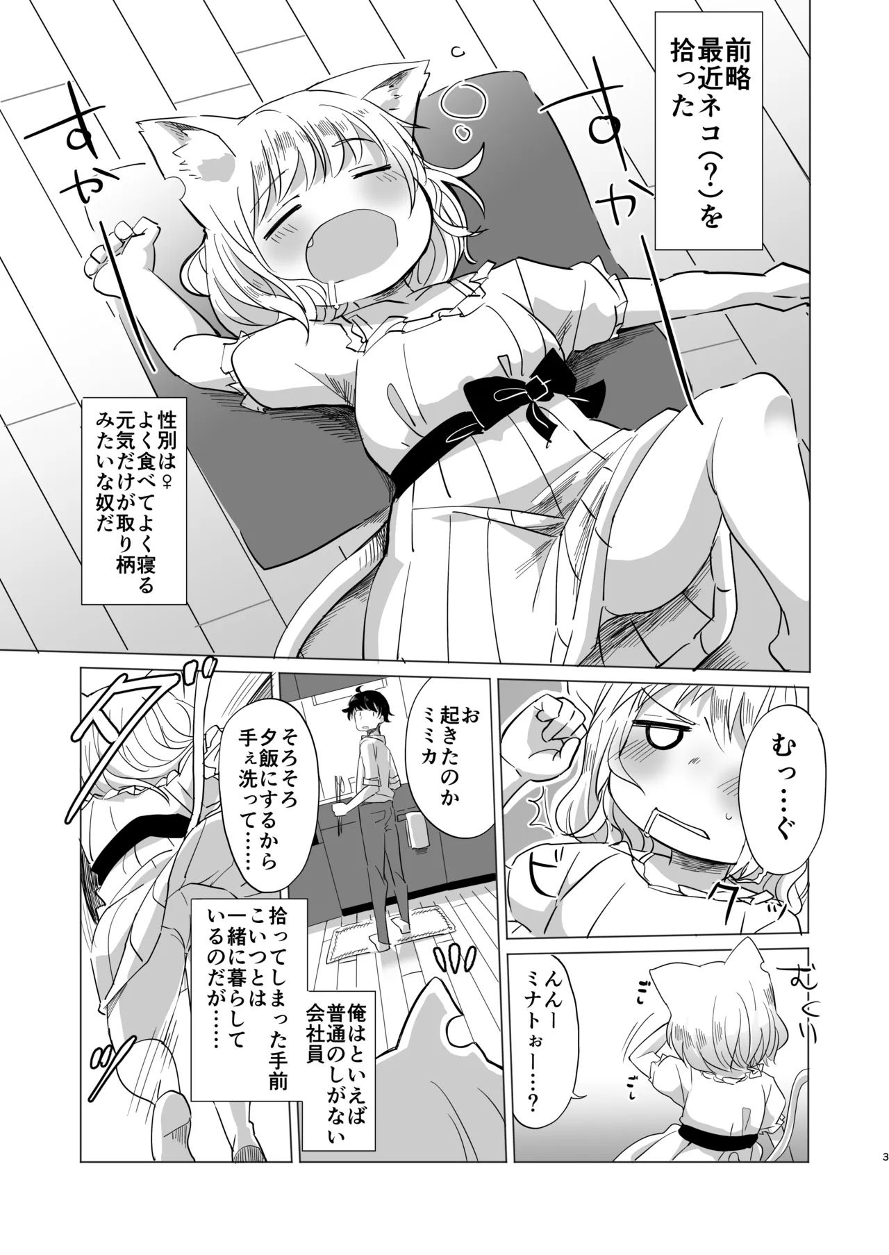 Wagamama Koneko no Shitsukekata. - 페이지 2