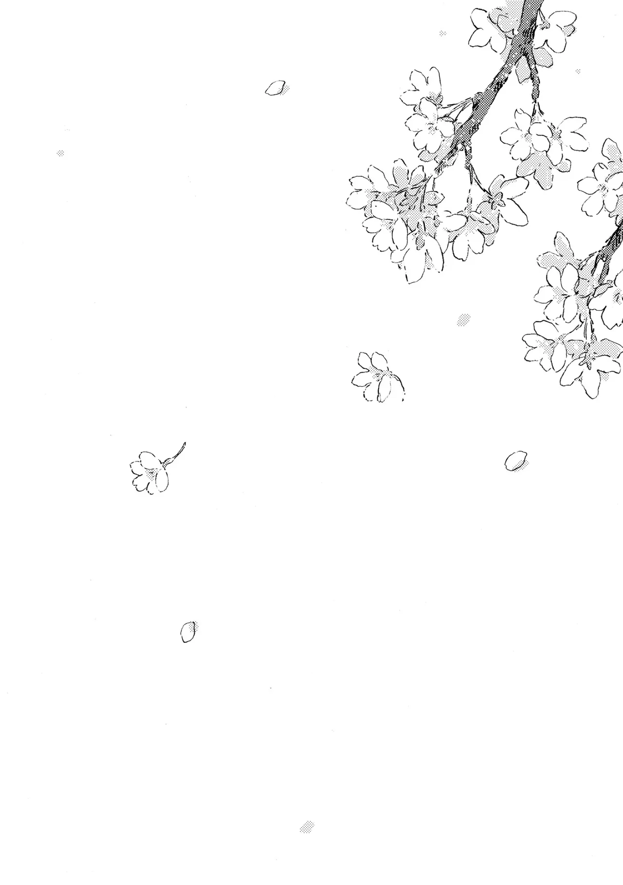 Sora furu Hanadayori︱天降花信 - Сторінка 3